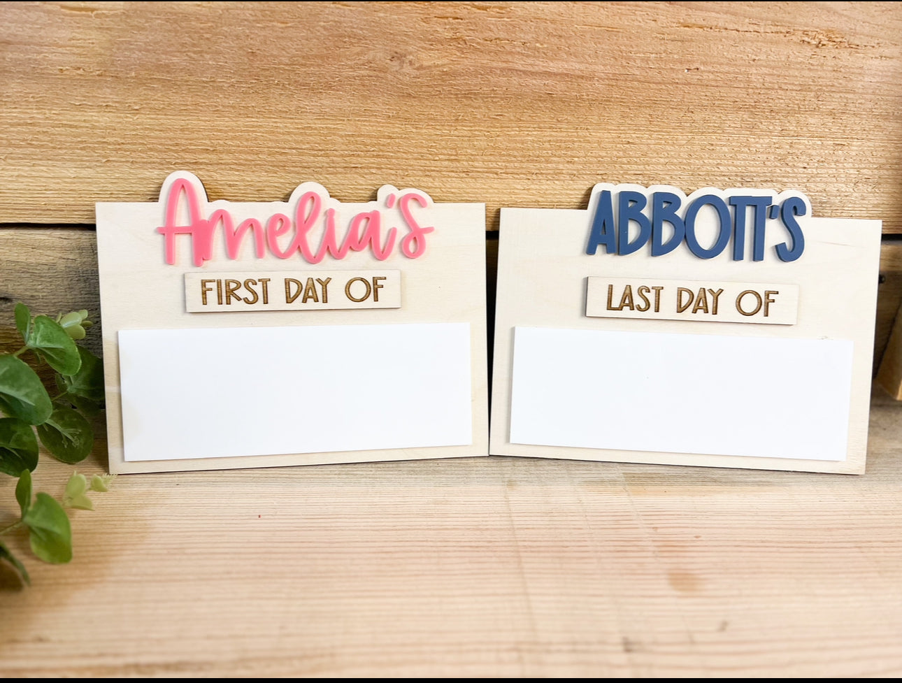 MYSTERY Basic Back To School Board