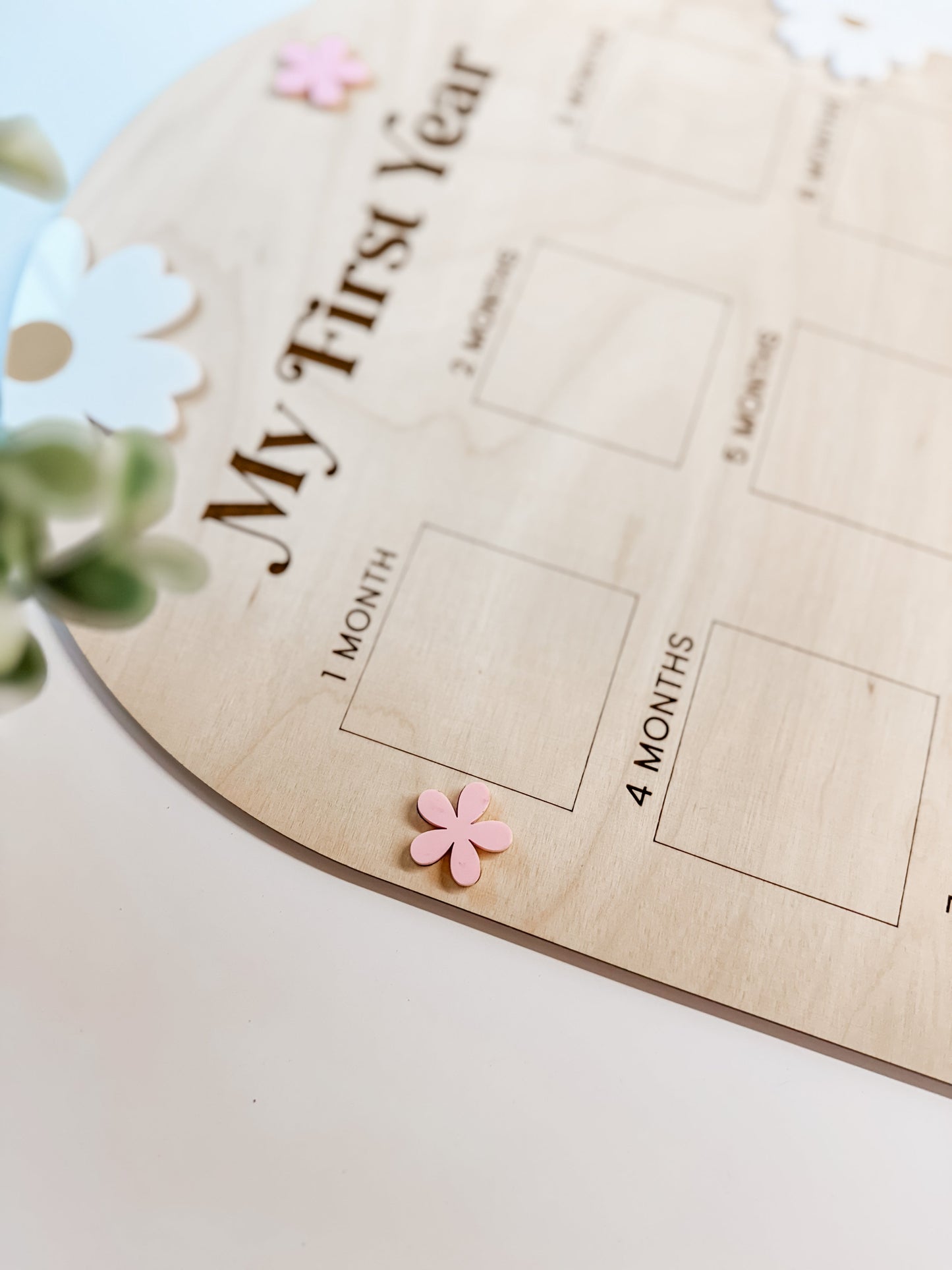 MY FIRST YEAR | DAISIES