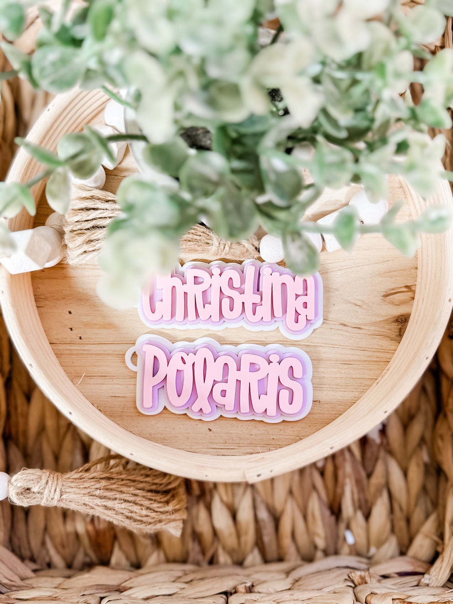 TRIPLE LAYER BAG TAG & CLIP